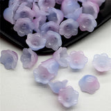 img_11963278