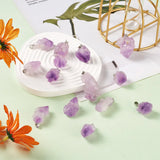 30pcs Amethysts Irregular Shape Pendants for Jewelry Making