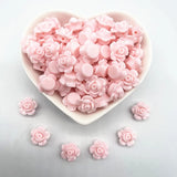 img_21130838