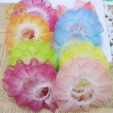 Ruffle Lace Trim Ribbon for DIY Clothes 0.98'' Width
