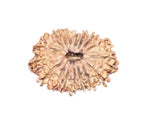 img_17850175