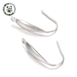316 Stainless Steel Earring Hooks, Stainless Steel Color, 20x4mm