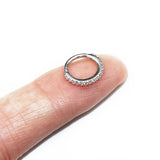 316L Surgical Steel Segment Nose Ring Septum Clicker Conch Ring