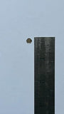 img_14076534