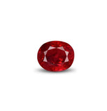 img_17686896