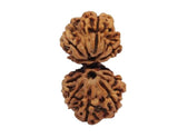 img_17694887