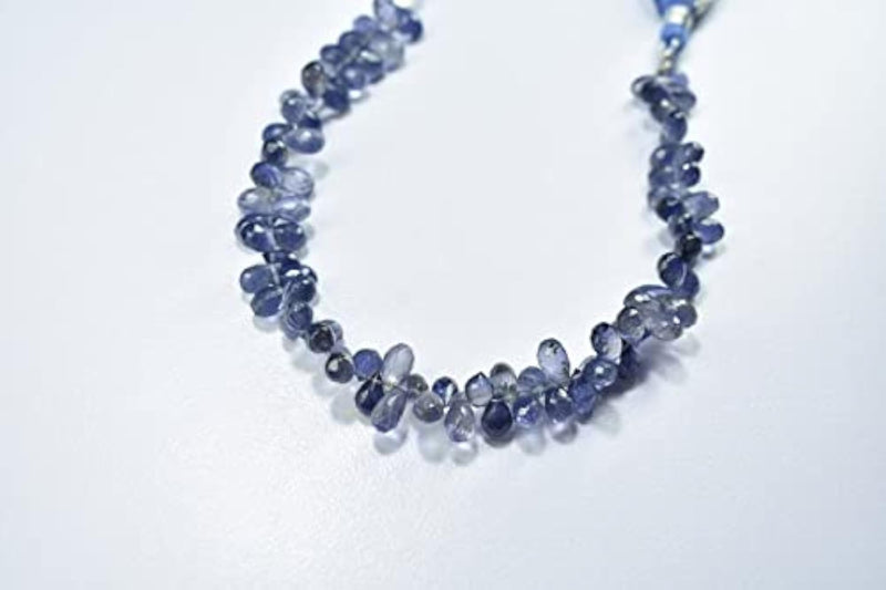 img_17850059