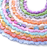 34Pcs 8x11mm Moon Shell Beads Natural Freshwater Loose Spacer Beads