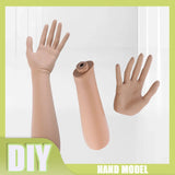Female Right Hand Mannequin Jewelry Watch Gloves Display Stand Holder