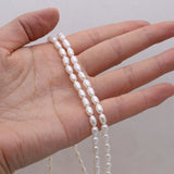 Natural Freshwater Rice Shape Purple Orange Pearl Strand 3.8-4.2mm