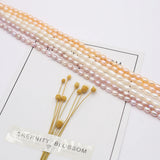 Natural Freshwater Rice Shape Purple Orange Pearl Strand 3.8-4.2mm