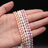 Natural Freshwater Rice Shape Purple Orange Pearl Strand 3.8-4.2mm