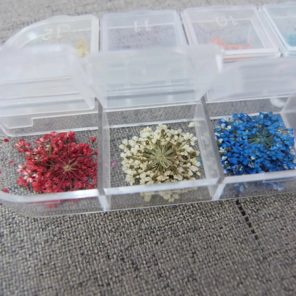 36pcs Natural Dry Flowers for DIY Decoration Glass Bottle Jewelry Accessories