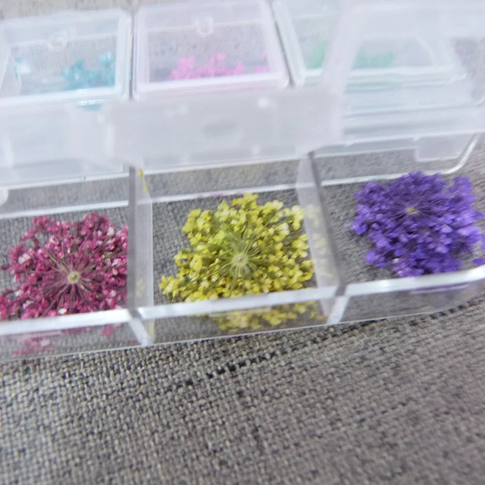 36pcs Natural Dry Flowers for DIY Decoration Glass Bottle Jewelry Accessories