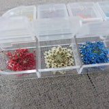 36pcs Natural Dry Flowers for DIY Decoration Glass Bottle Jewelry Accessories