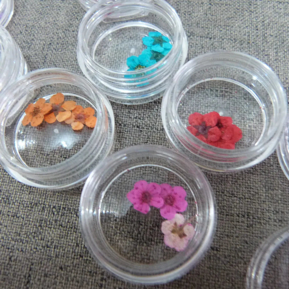 36pcs Natural Tiny Dry Flowers for DIY Decoration