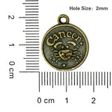 36pcs Round Zodiac Constellation Charms Vintage Bronze Alloy Pendant