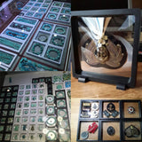 3D PE Film Jewelry Organizer Box Display Case Earring Ring Watch Packaging Box
