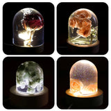 3D Semi-cylindrical Specimen Ornaments Silicone Mold Night Light