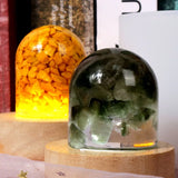 3D Semi-cylindrical Specimen Ornaments Silicone Mold Night Light