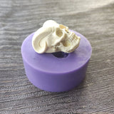 Skull Shape Silicone Mold for DIY Decoration Making
