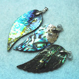 3PCS Abalone Shell Wings Size 57x25MM For Mother Of Pearl Pendants