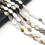 3PCS Natural Freshwater Shell Oval Beads DIY Necklace Bracelet Mother-of-Pearl