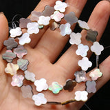 3PCS Natural Freshwater Shell Plum Shape Beads DIY Necklace Bracelet