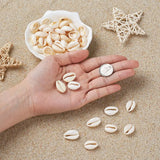 500g/lot Mixed PapayaWhip Cowrie Shell Beads for Jewelry Making