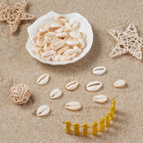 500g/lot Mixed PapayaWhip Cowrie Shell Beads for Jewelry Making