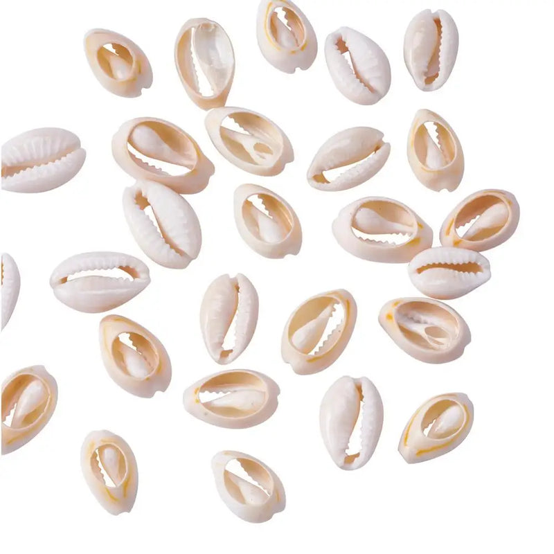 500g/lot Mixed PapayaWhip Cowrie Shell Beads for Jewelry Making