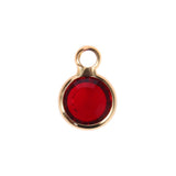 12pcs Mixed Birthstone Charms 6mm for Necklace (1c each month) Accessories