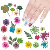 3D Natural Daisy Gypsophila Nail Art Decorations DIY Stickers