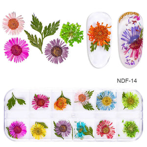 3D Natural Daisy Gypsophila Nail Art Decorations DIY Stickers