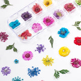 3D Natural Daisy Gypsophila Nail Art Decorations DIY Stickers
