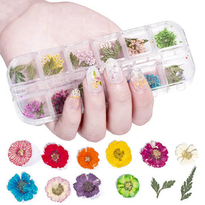 3D Natural Daisy Gypsophila Nail Art Decorations DIY Stickers