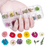 3D Natural Daisy Gypsophila Nail Art Decorations DIY Stickers