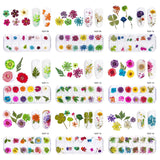 3D Natural Daisy Gypsophila Nail Art Decorations DIY Stickers