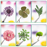 3D Natural Daisy Gypsophila Nail Art Decorations DIY Stickers