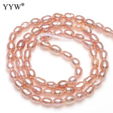 3mm Rice Freshwater Pearl Beads 0.8mm Hole Pink Purple