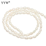 3mm Rice Freshwater Pearl Beads 0.8mm Hole Pink Purple