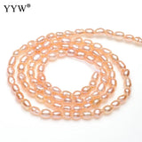 3mm Rice Freshwater Pearl Beads 0.8mm Hole Pink Purple