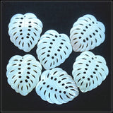 3pcs Natural Shell Pendants 38x35mm for Necklace Making
