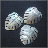 3pcs Natural Shell Pendants 38x35mm for Necklace Making