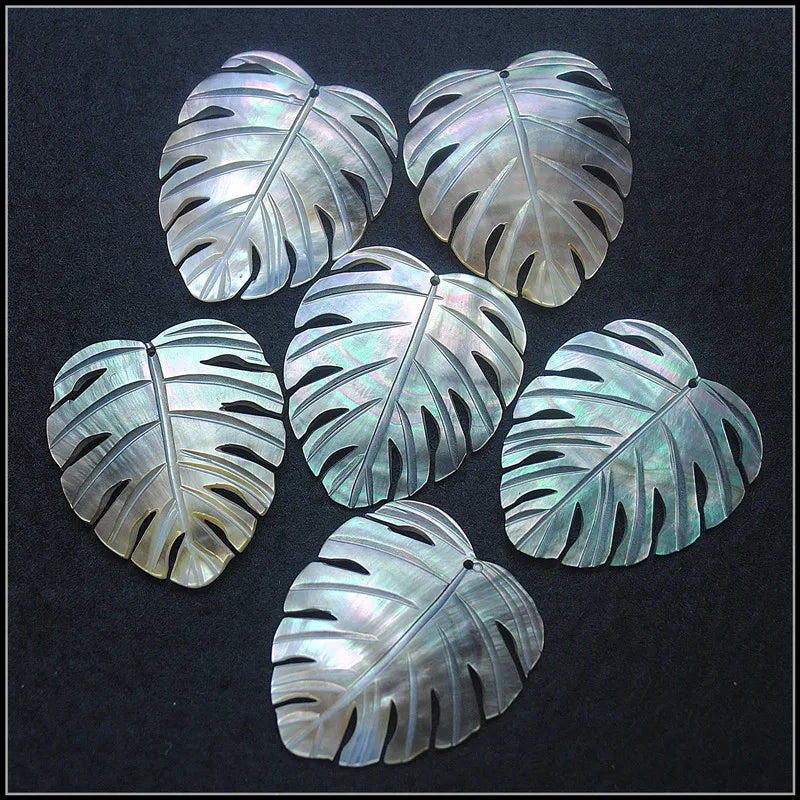 3pcs Natural Shell Pendants 38x35mm for Necklace Making