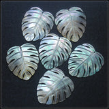 3pcs Natural Shell Pendants 38x35mm for Necklace Making