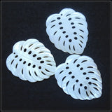 3pcs Natural Shell Pendants 38x35mm for Necklace Making