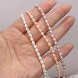 Natural Freshwater Pearl Beads Rice Shape Small Loose Bead