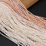 Natural Freshwater Pearl Beads Rice Shape Small Loose Bead