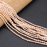 Natural Freshwater Pearl Beads Rice Shape Small Loose Bead